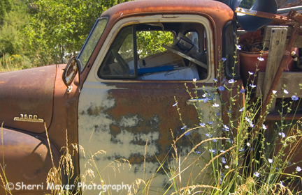Old Rusty Cheverlot Pickup Truck Taylorsville California