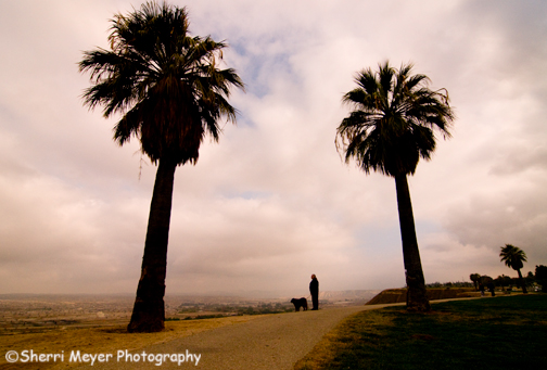 Bakersfield Bluffs