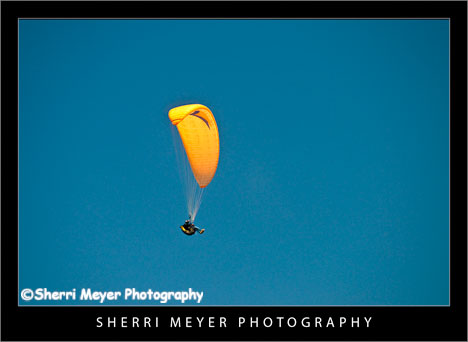 paragliding41