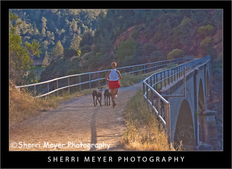 no hands bridge