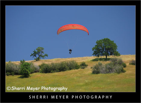 paragliding5