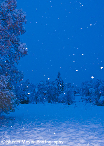 Snowy-Landscape