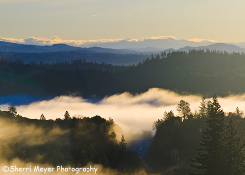 Foggy-Auburn-5