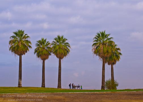 Panorama-Park,-Bakersfield,-CA — Sherri Meyer Photography